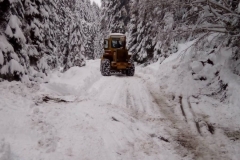 IMG-5f78eef4ea8620244ba46bed561fa527-V