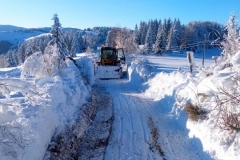 IMG-7dc345b87278e585de73bfa62d98bde2-V