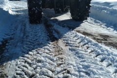 IMG-83b9fd772b6c6a3a89390f8d28937300-V