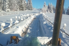 IMG-9c7f9e4272ed6d2a65331a167522f556-V